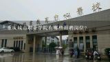 重庆城市职业学院有哪些招聘岗位?