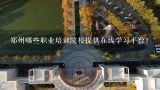 郑州哪些职业培训院校提供在线学习平台?