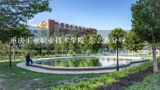 重庆工业职业技术学院 怎么查分呀