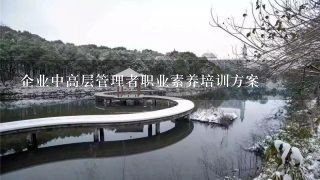 企业中高层管理者职业素养培训方案