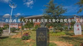 在江西省大学生职业技能竞赛中获奖有什么好处？