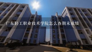 广东轻工职业技术学院怎么查期末成绩