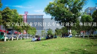 辽宁政法职业学院什么专业好就业？单招好进吗？