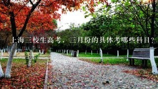 上海三校生高考，三月份的具体考哪些科目？