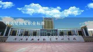 什么是国家职业标准