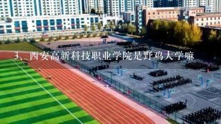 西安高新科技职业学院是野鸡大学嘛