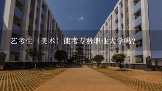 艺考生（美术）能考专科职业大学吗？