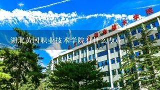 湖北黄冈职业技术学院有什么专业