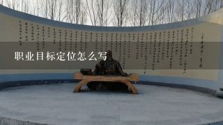 职业目标定位怎么写