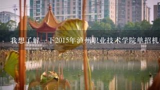 我想了解一下2015年泸州职业技术学院单招机电一体化录取分数线