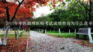 2011年中医助理医师考试成绩查询为什么进不去