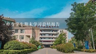 中专学生期末学习总结报告