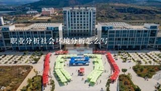 职业分析社会环境分析怎么写