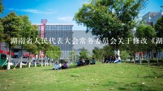 湖南省人民代表大会常务委员会关于修改《湖南省职业教育条例》的决定