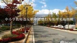 中小学教师违反职业道德行为处理实施细则