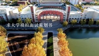 求大学模拟面试策划书