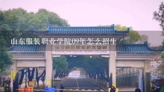 山东服装职业学院09年怎么招生