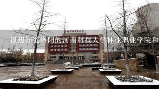 很想知道洛阳的河南科技大学林业职业学院和洛阳瀍河区铁路信息工程学院还有郑州外资企业管理学校哪个好？