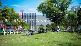 四川国际标榜学院怎么样啊？