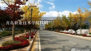 青岛职业技术学院代码