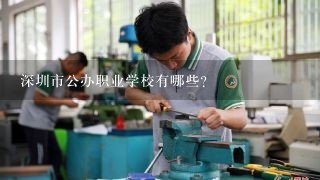 深圳市公办职业学校有哪些?