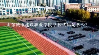 山东城市建设职业学院学校代码是多少?