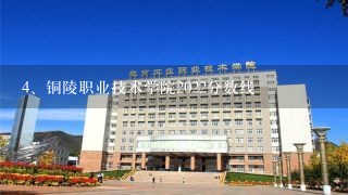 铜陵职业技术学院2022分数线