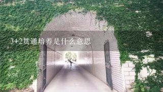 3+2贯通培养是什么意思