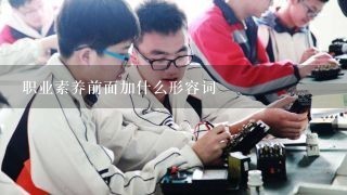 职业素养前面加什么形容词