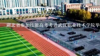 湖北省参加技能高考考进武汉职业技术学院毕业时的学历是大专还是什么?