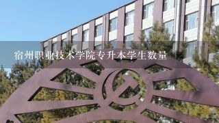 宿州职业技术学院专升本学生数量