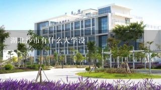 湖北沙市有什么大学没