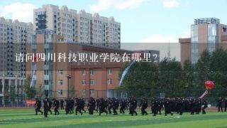 请问四川科技职业学院在哪里？