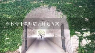 学校骨干教师培训计划方案