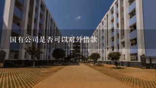 国有公司是否可以对外借款