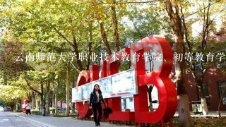 云南师范大学职业技术教育学院、初等教育学院(2)