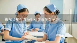 山东省单招青岛职业学院学费多少?