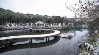 泰安职业技术学院在山东第几名？