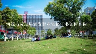 河源市劳动局颁发职业资格证书如何查询