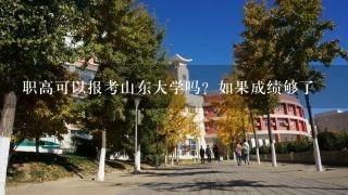 职高可以报考山东大学吗？如果成绩够了