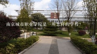 南京城市职业学院是一所怎样的学校？