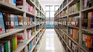 江苏盐城有几所大学？分别叫什么啊？