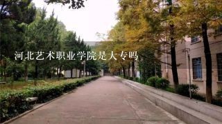 河北艺术职业学院是大专吗