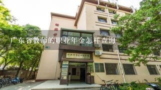 广东省教师的职业年金怎样查询