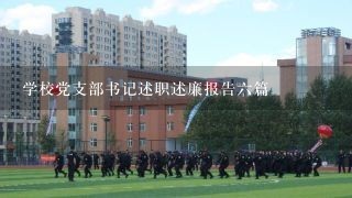 学校党支部书记述职述廉报告六篇