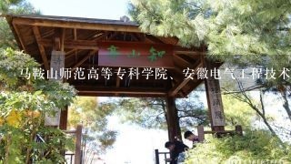 马鞍山师范高等专科学院、安徽电气工程技术学院、淮南联合大学、安徽审计职业学院，文科447如何填写志愿？