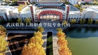 武汉软件工程职业学院专业代码