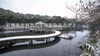 在哪能查到我的中级职称是否评上