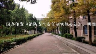 国办印发《消防安全责任制实施办法》，明确了哪些