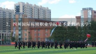 四川国际标榜职业学院是不是野鸡大学？